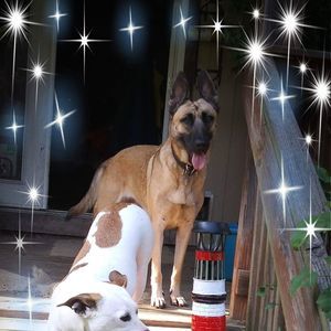 Meet your Posher, Wanda